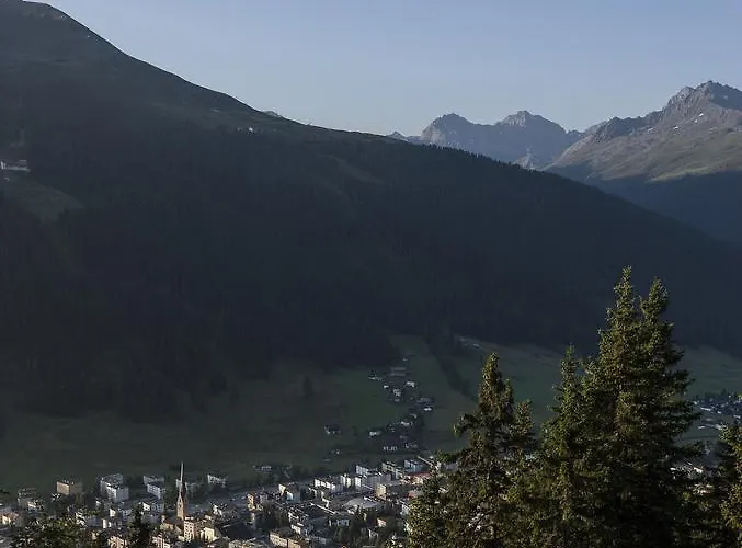 Schatzalp دافوس